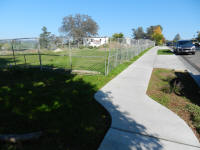 Cleared Park Site