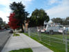Tiny park
